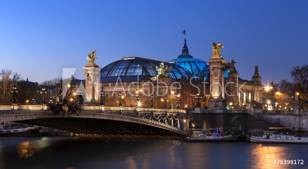 Bild på Pont Alexandre 3 et Grand Palais